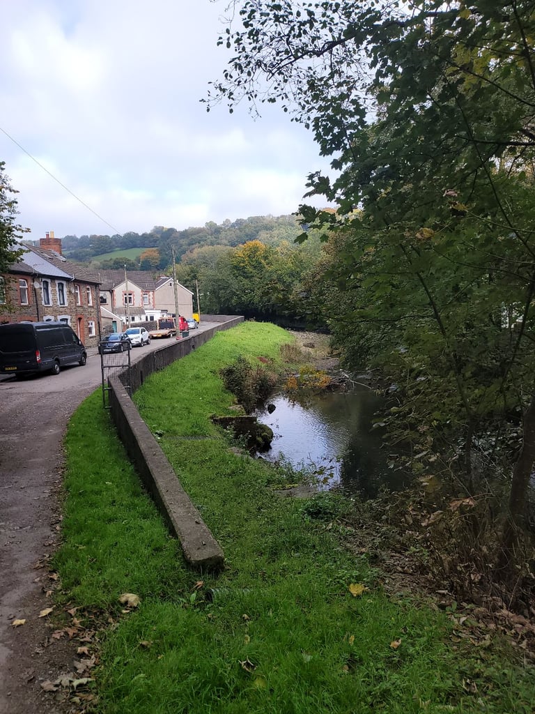 Looking to Rent cardiff 