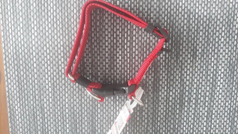 NEW Ezydog double up large dog collar 