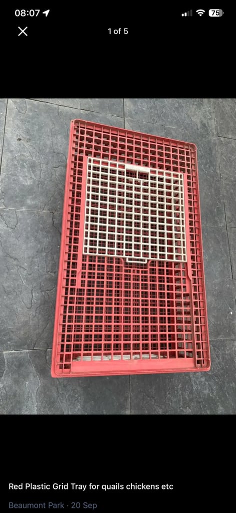 Red Plastic Grid Tray for quails chickens etc