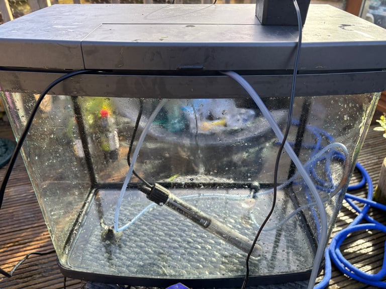 Tropical Fish tank including all you need to start. 