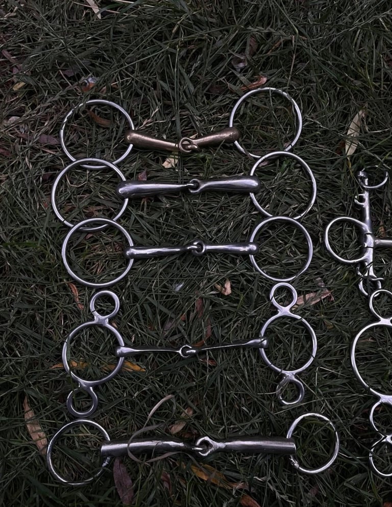 7 DIFFERENT HORSE BITS