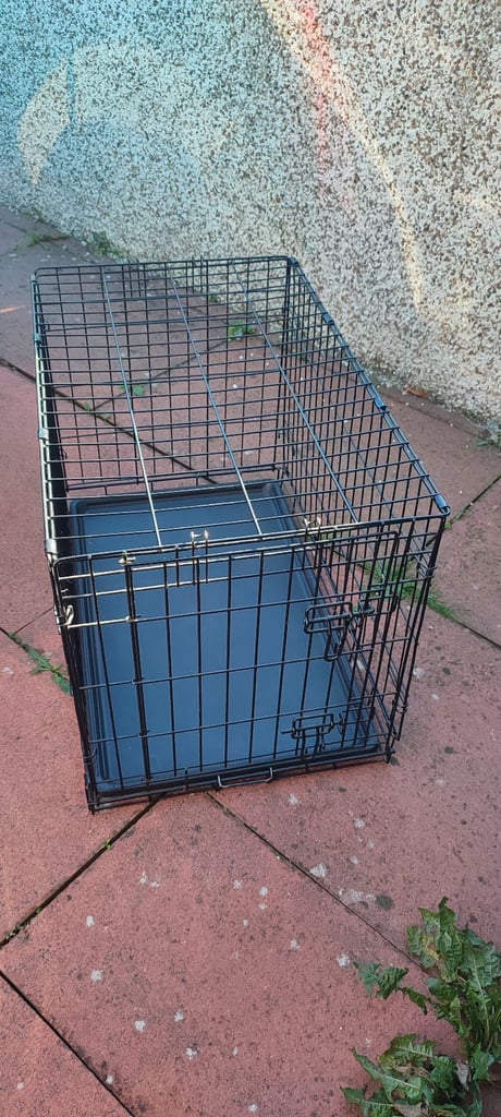 Collapsible dog crate 