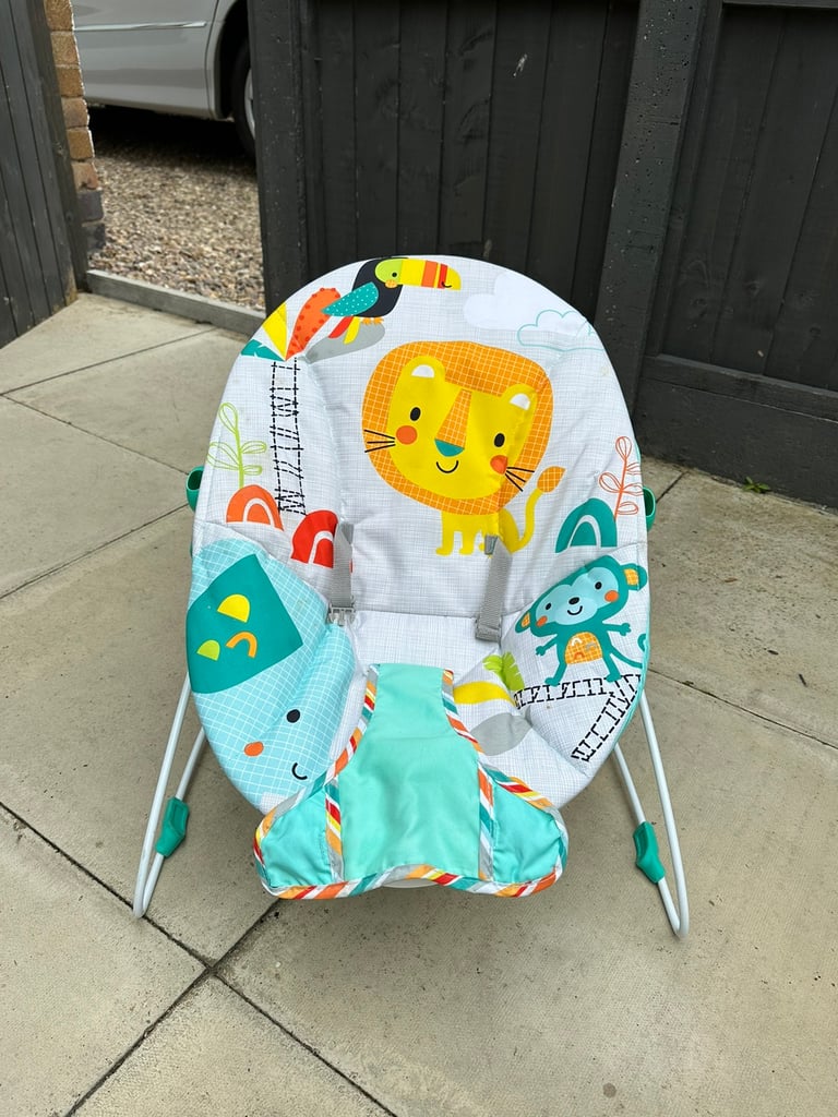 Baby bouncer and jumperoo 