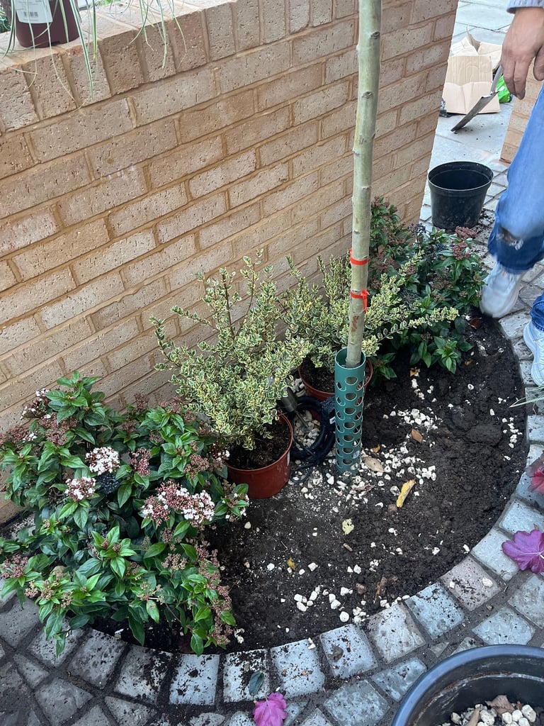 image for Light Gardening Services 