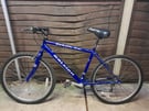 Great mens blue bike in very good condition