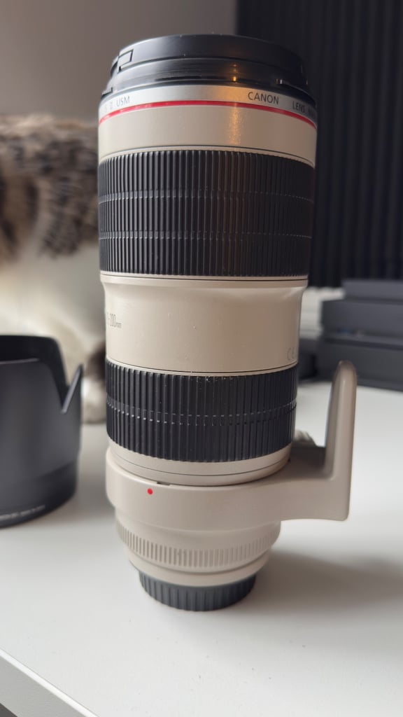 Canon EF 70-200 f/2.8IS USM MKII Lens