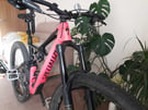 Specialized Enduro Elite 29 carbon mountain bike large with nukeproof