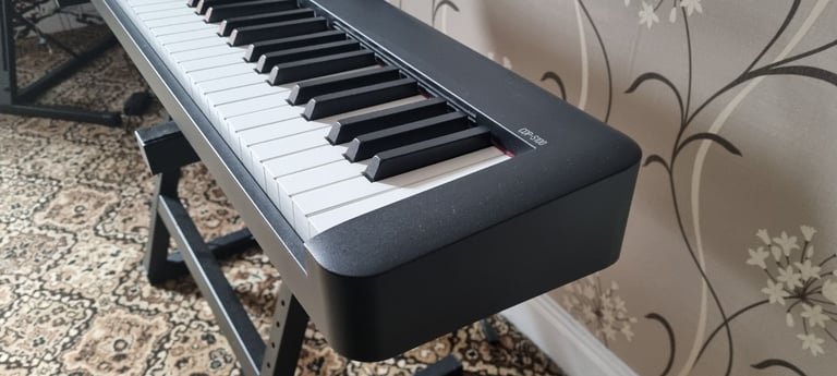 Casio CDP S100 Digital Piano. £255 on Amazon
