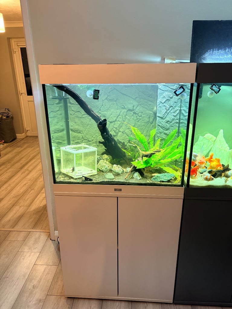 image for Lido 200 Fish Tank with Cabinet