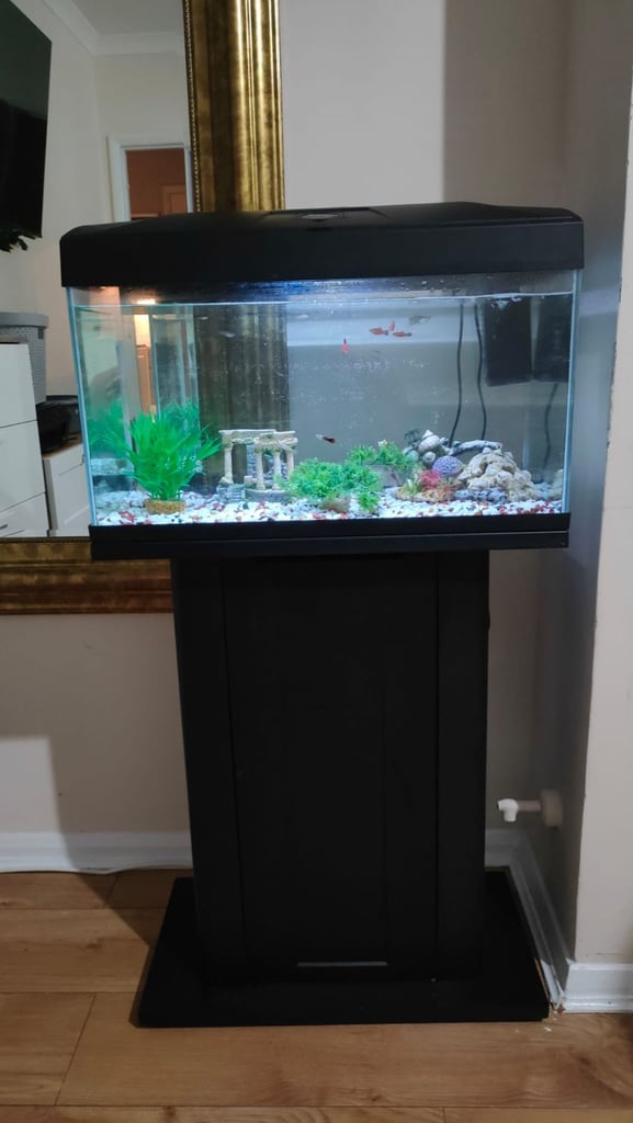 image for Fish tank with stand 