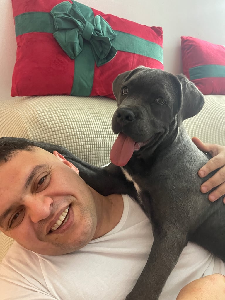 Healthy 1-Year-Old Female Cane Corso- Looking for a loving Home