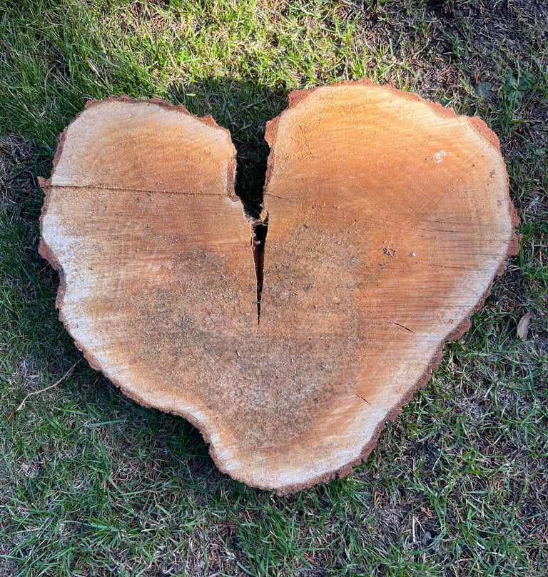 image for Love heart log slice 