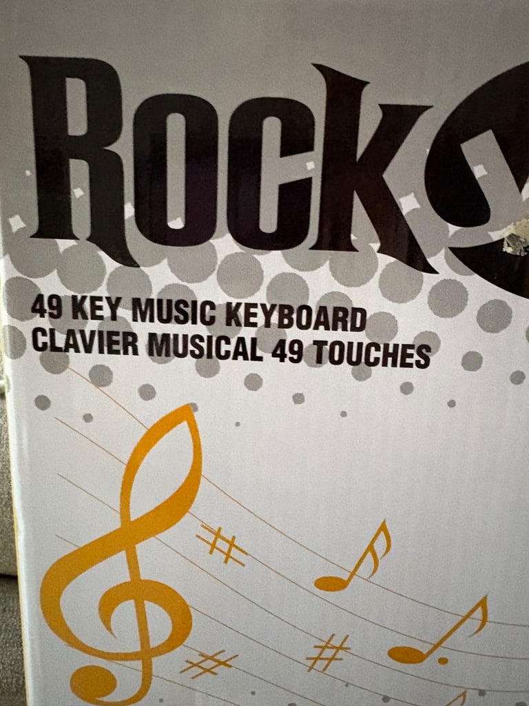 Piano / Electronic keyboard 48 keys