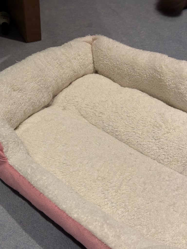 Pet bed for cats / small sized dogs