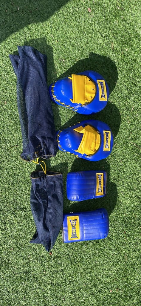 image for Boxercise gloves and pads