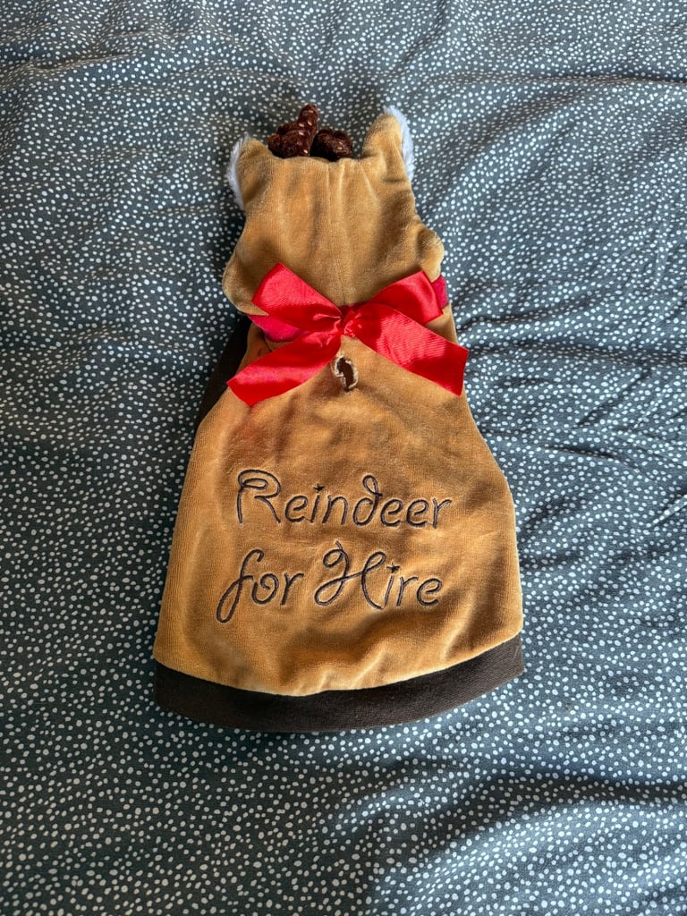 image for Reindeer For Hire Dog Costume