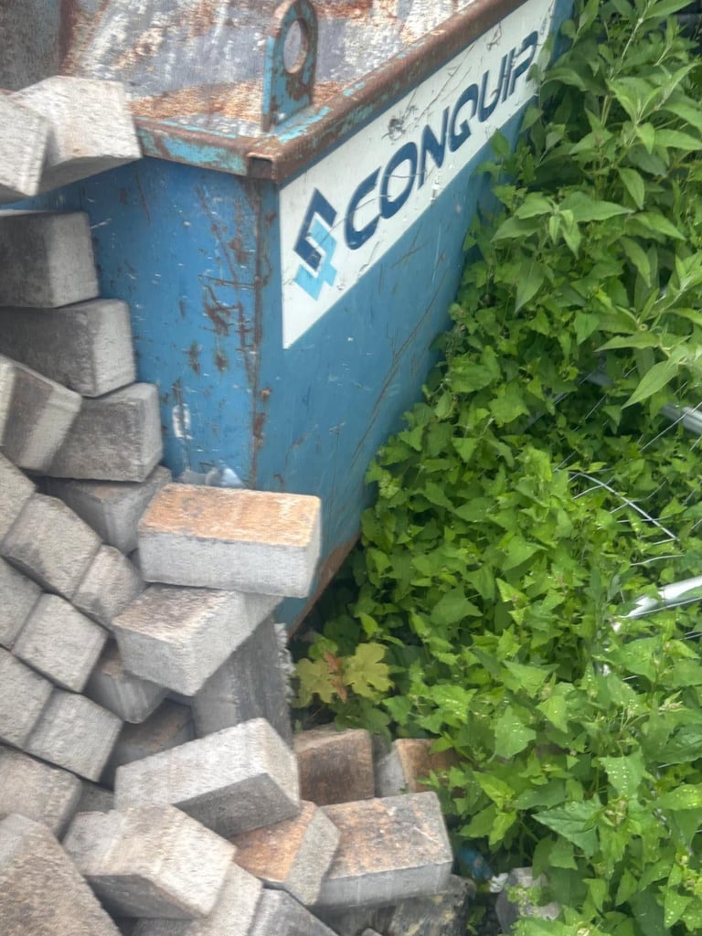 image for Tipping Skips £100 each 