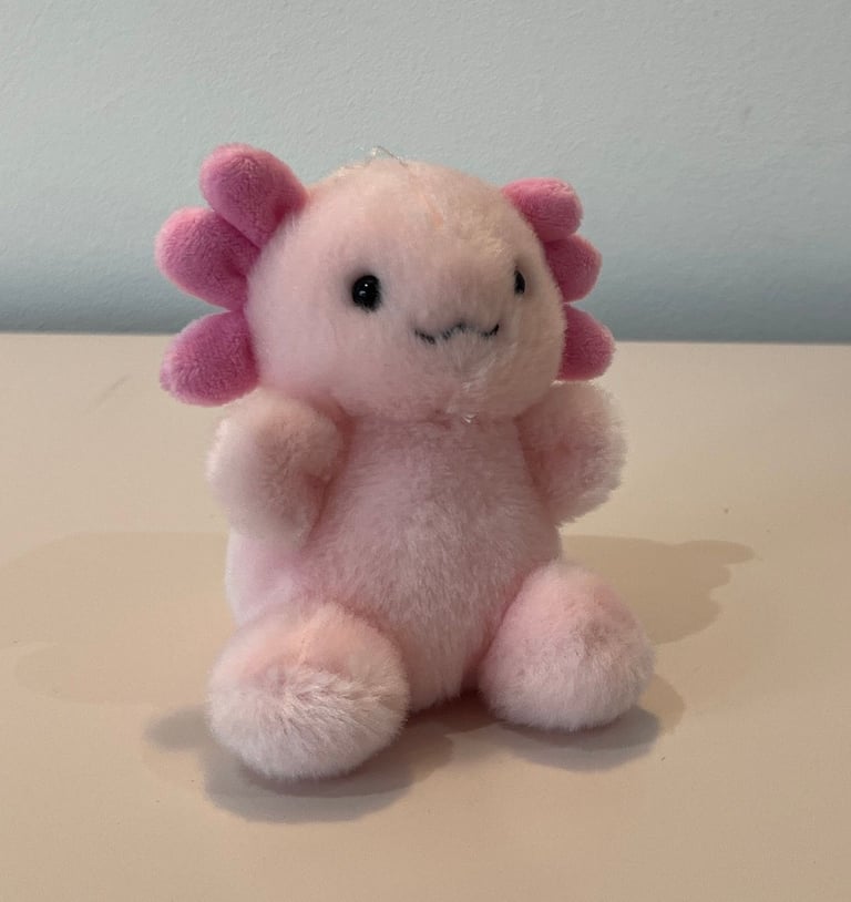 image for BRAND NEW Axolotl Soft Toy