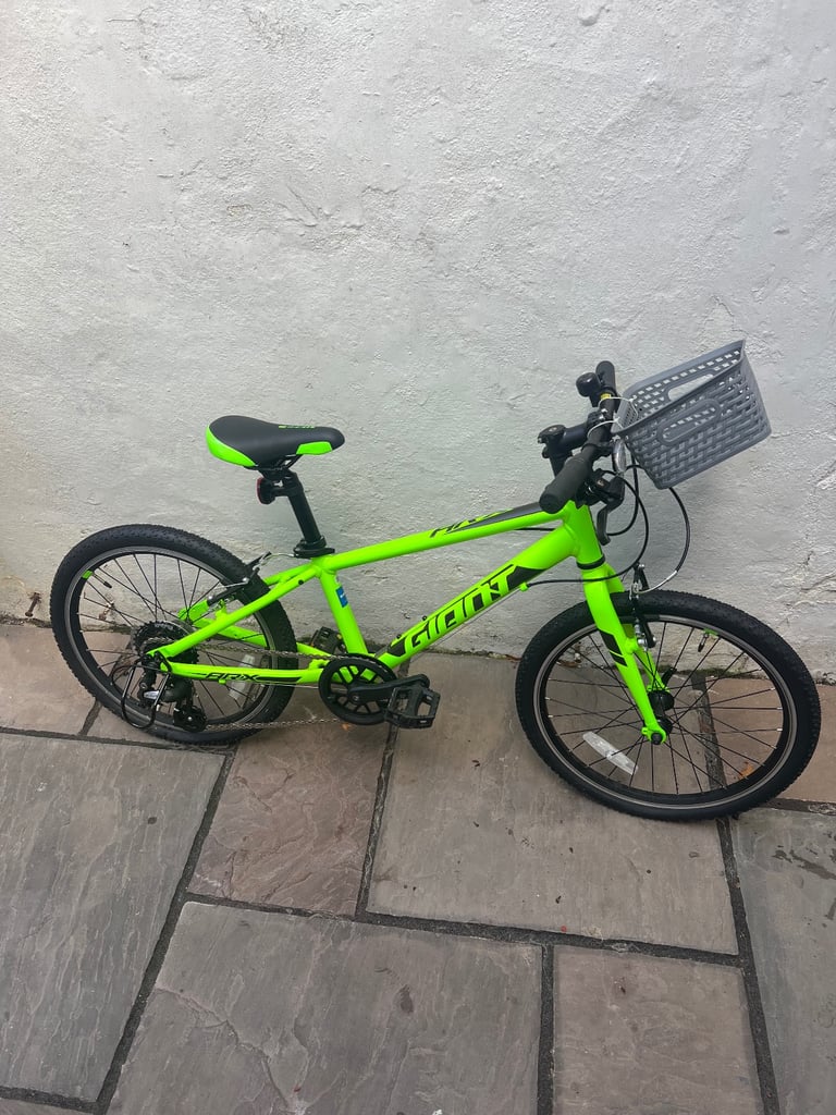 image for Giant ARX 20 kids bike 20” (2021)
