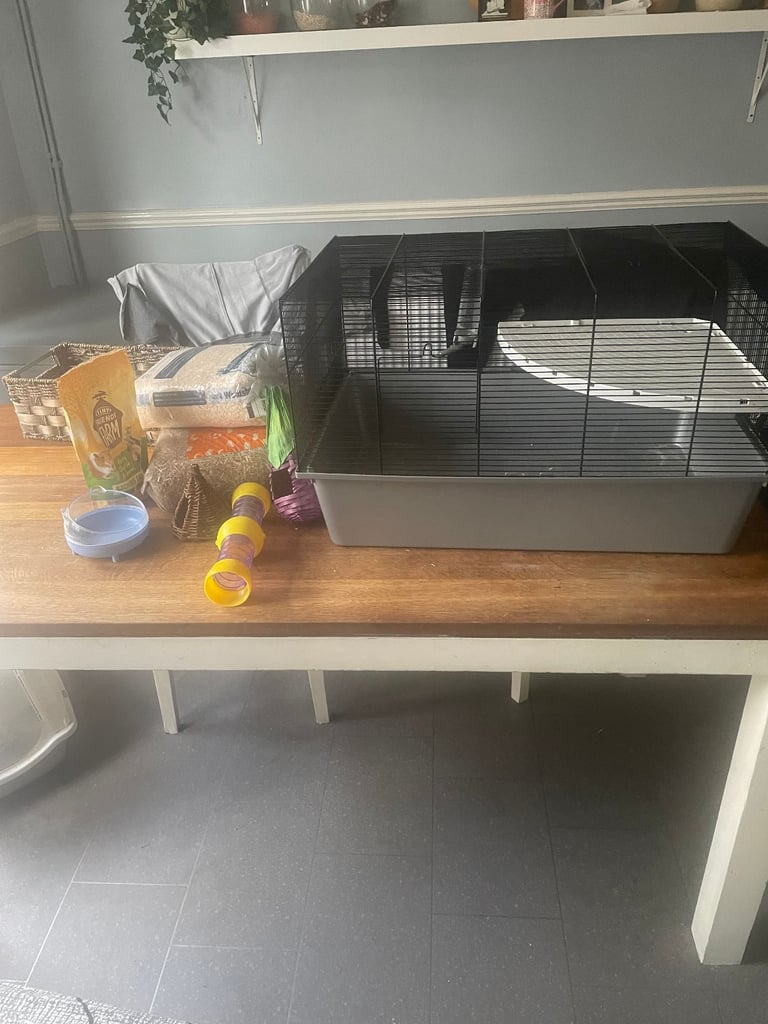 Hamster, Mouse Cage with Hay, Shavings and accessories