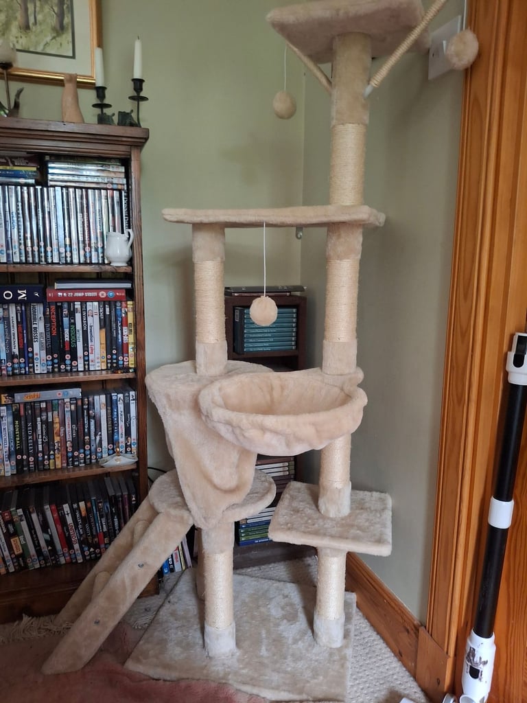Large Cat Climbing Tower 