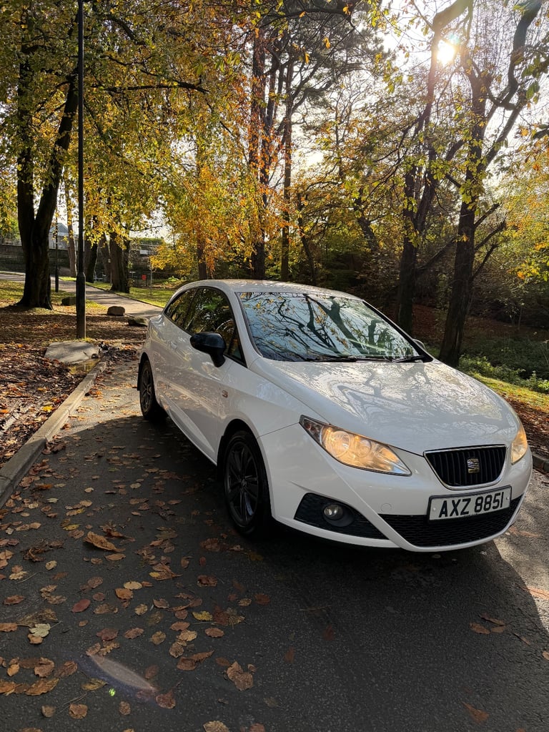 Seat Ibiza Good Stuff 2011 1.4 Petrol
