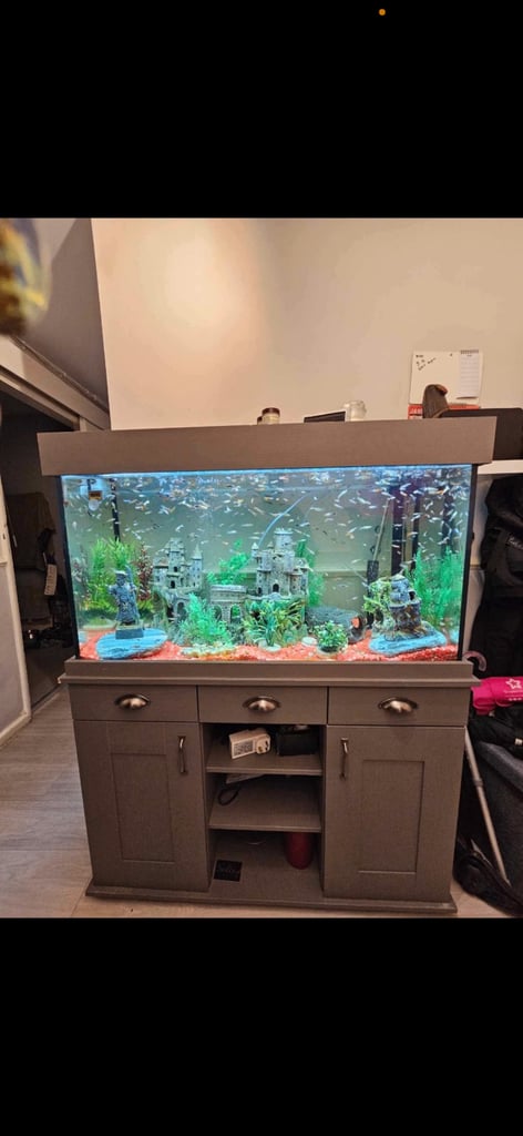 ***AVAILABLE**** Fish tank 