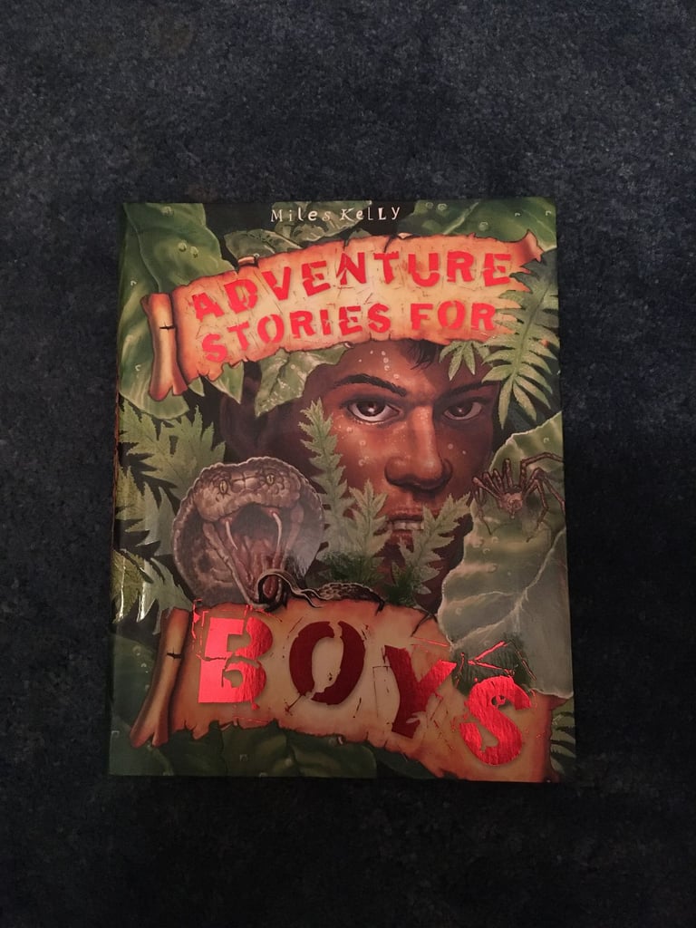 image for Adventure stories book 512 pages