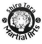 Traditional and Contemporary Martial Arts Training