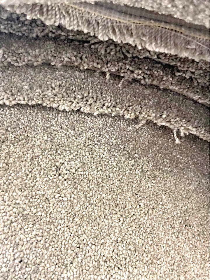 image for 11mm Thick Luxury Grey Carpet | Soft & Durable | Ideal for Living Rooms & Bedrooms