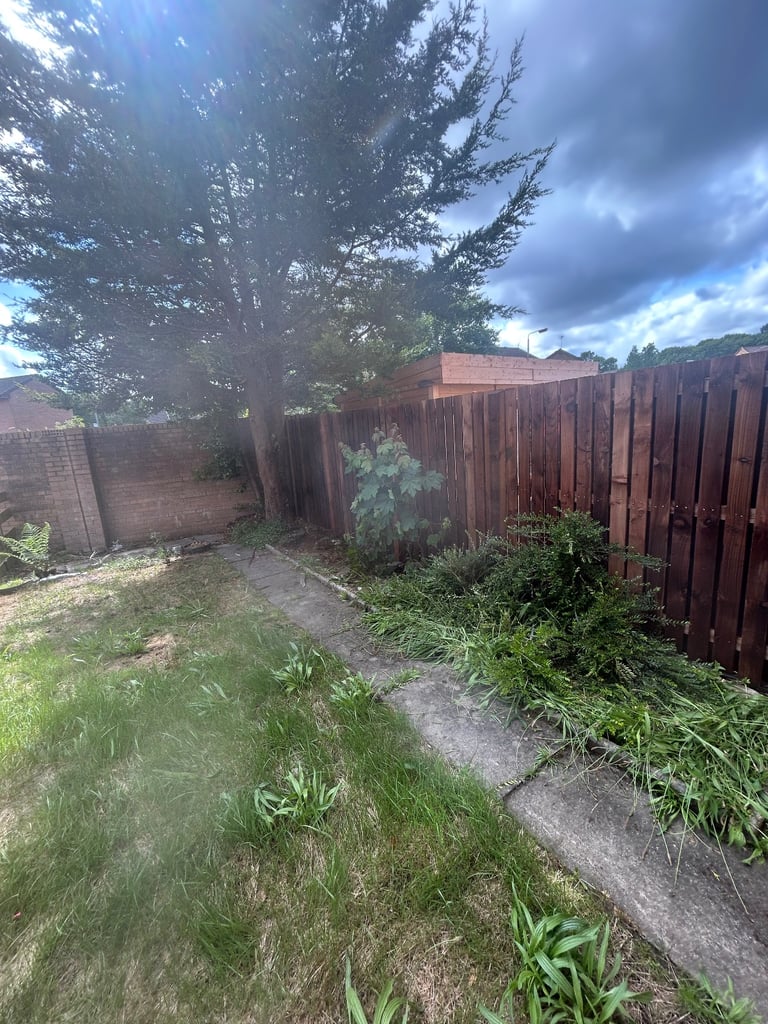 Fencing and decking