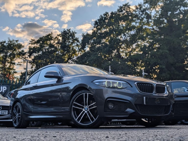 2019 BMW 2 Series 2.0 218d M Sport Auto Euro 6 (s/s) 2dr COUPE Diesel Automatic