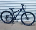 Carrera vengeance mountain bike small.