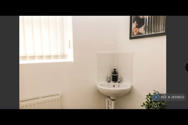 4 bedroom house in Blueberry House, Launceston Cornwall, PL15 (4 bed) (#2659603)