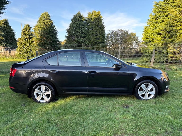 Skoda, OCTAVIA, Hatchback, 2019, Manual, 1598 (cc), 5 doors