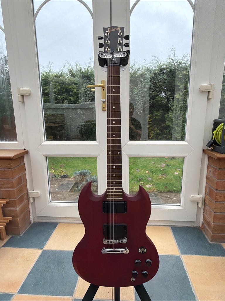 image for 2013 Gibson SGJ 