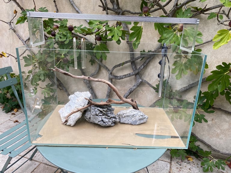 image for Fish Tank /Aquascape set-up including Twinstar led lighting 