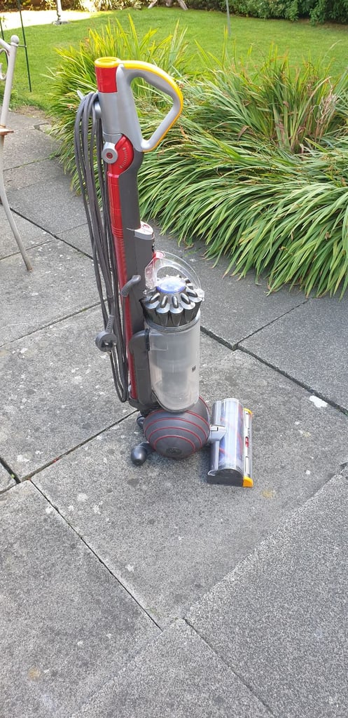 Dyson ball animal 2 