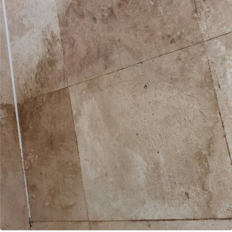 DOMESTIC CLEANING SERVICES 