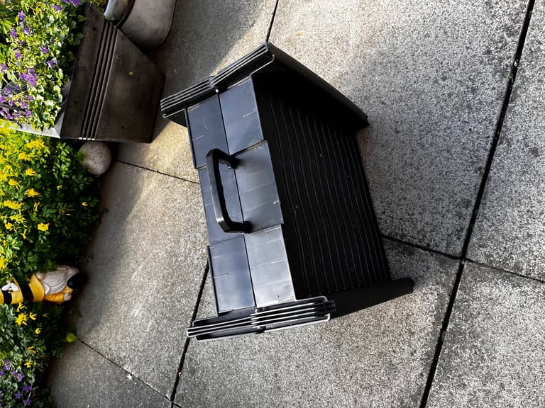 Dog car ramp
