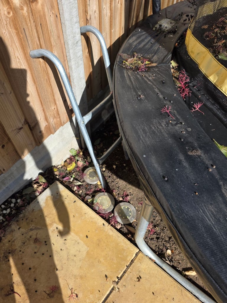 Trampoline 8ft For Sale 