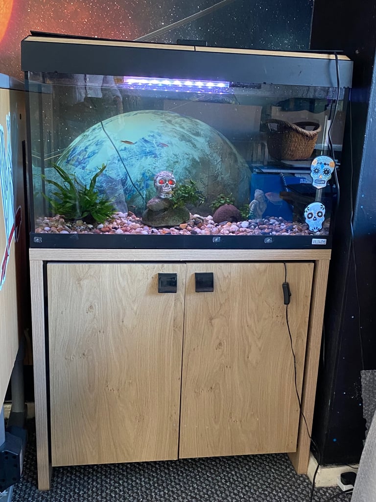 Aquarium with fish