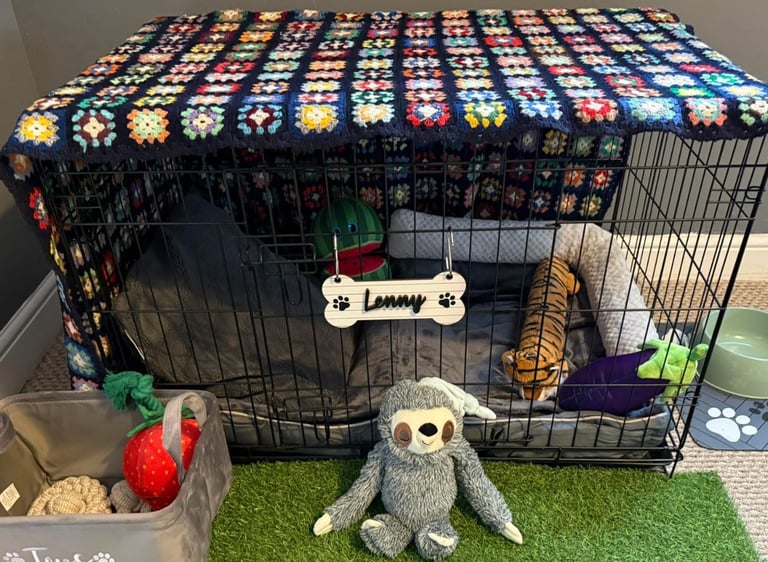 Large dog crate