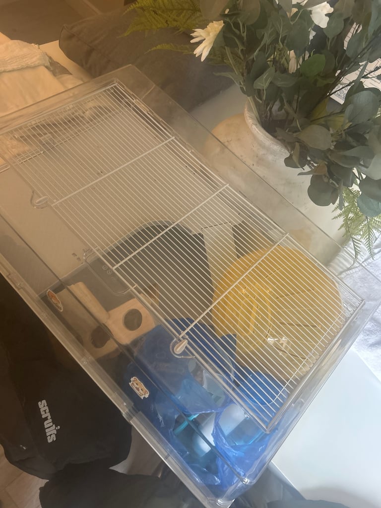 Hamster 🐹 Cage