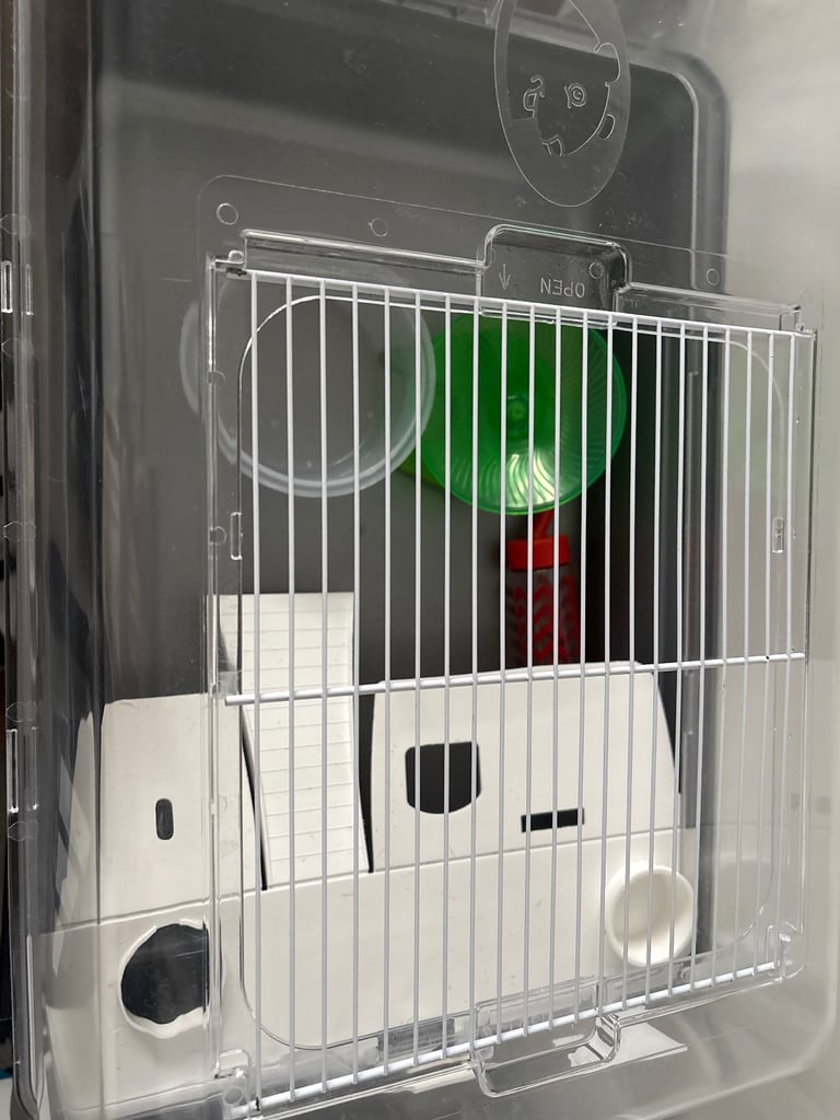 Hamster cage and accessories 