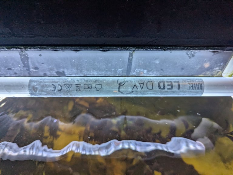 Juwel corner tank 