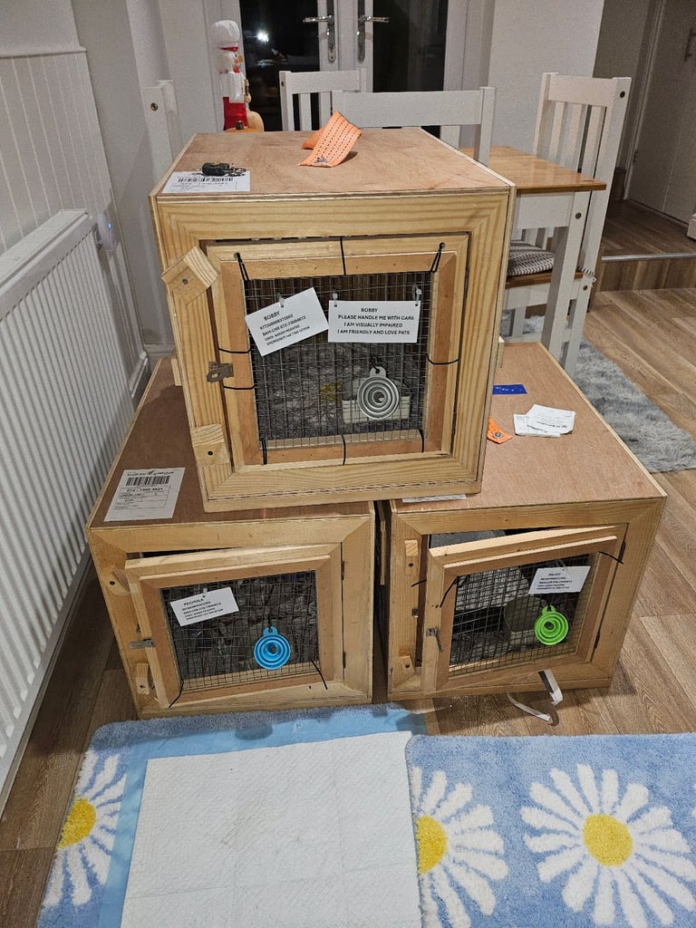 IATA  approved pet travel crates