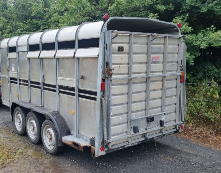 Ifor williams livestock sheep cattle trailer 14x6