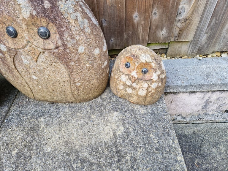 Scottish Stone Owl's 