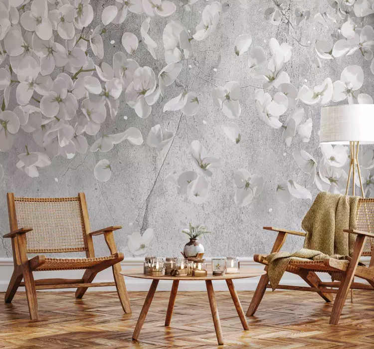 image for Apartment wanted...